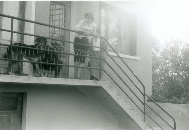 Click to see next picture