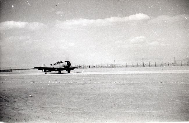 Click to see next picture