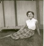 Click to see big picture (433x450 pixels; 33 KB)