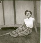 Click to see big picture (433x450 pixels; 33 KB)