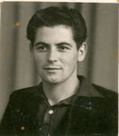 Click to see big picture (395x450 pixels; 27 KB)