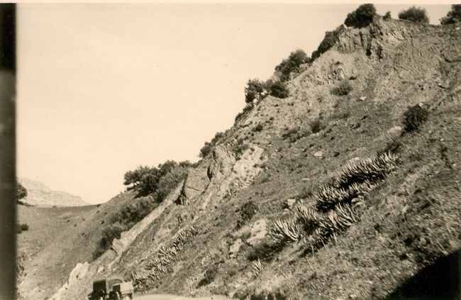 Click to see next picture