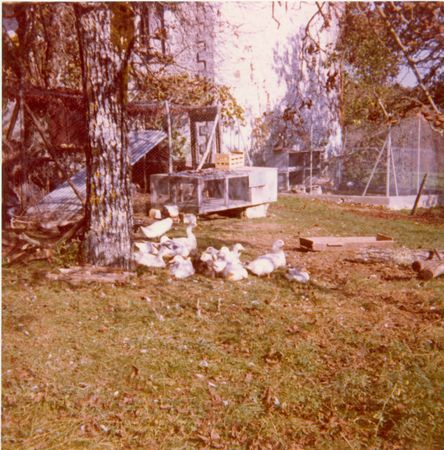 Click to see next picture