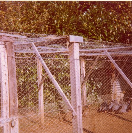 Click to see next picture