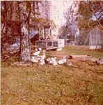 Click to see big picture (444x450 pixels; 63 KB)