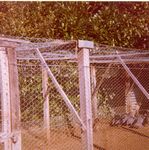 Click to see big picture (446x450 pixels; 64 KB)