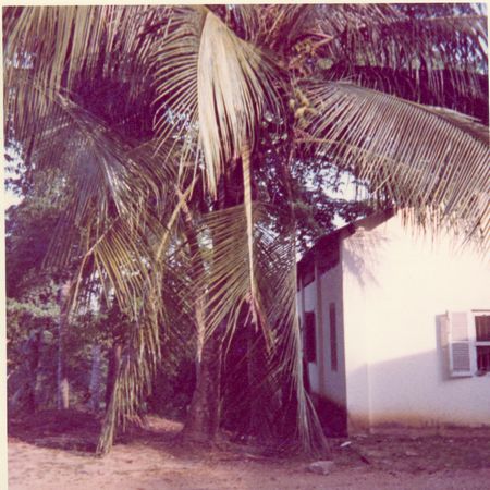 Click to see next picture