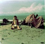 Click to see big picture (452x450 pixels; 40 KB)