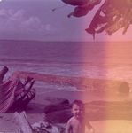 Click to see big picture (446x450 pixels; 28 KB)