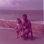 Click to see big picture (446x450 pixels; 25 KB)