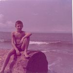 Click to see big picture (452x450 pixels; 25 KB)