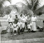 Click to see big picture (460x450 pixels; 49 KB)