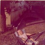 Click to see big picture (448x450 pixels; 36 KB)