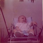 Click to see big picture (456x450 pixels; 27 KB)