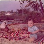 Click to see big picture (460x450 pixels; 45 KB)