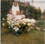 Click to see big picture (456x450 pixels; 42 KB)