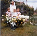 Click to see big picture (456x450 pixels; 46 KB)