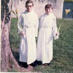 Click to see big picture (454x450 pixels; 46 KB)