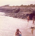 Click to see big picture (441x450 pixels; 36 KB)