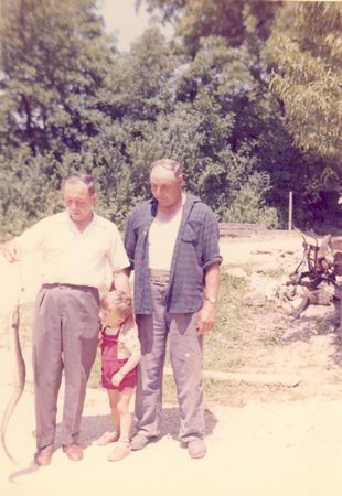 Click to see next picture