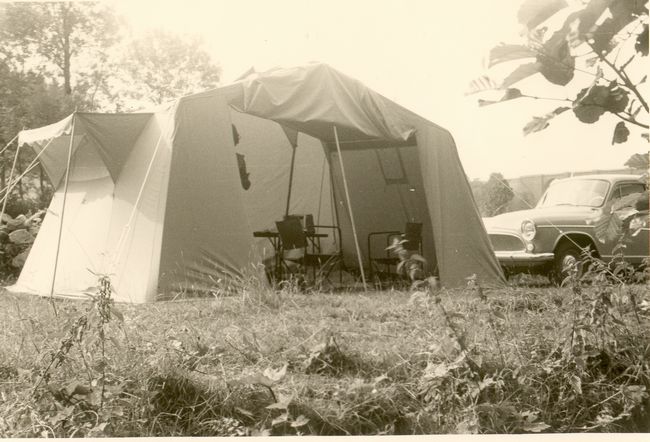 Click to see next picture