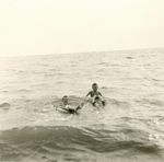 Click to see big picture (456x450 pixels; 26 KB)