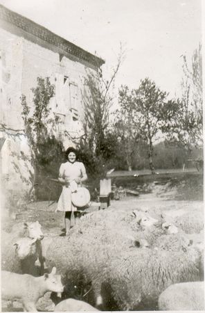 Click to see next picture