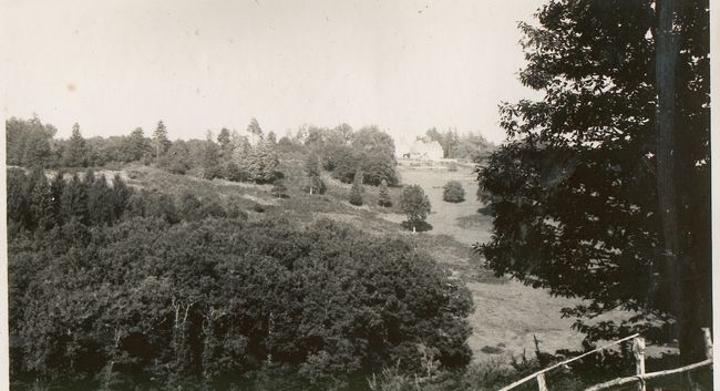 Click to see next picture